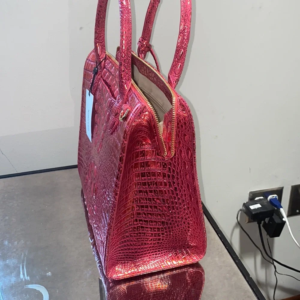 Brahmin - Picture 8 of 15